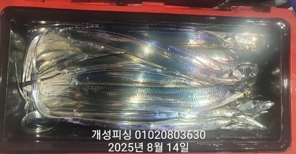 df2b6f7d5ea1462c123c4bdf5e3c7fc0.jpg
