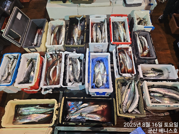 df65a7cec168d10596ed24fcd876c620.jpg