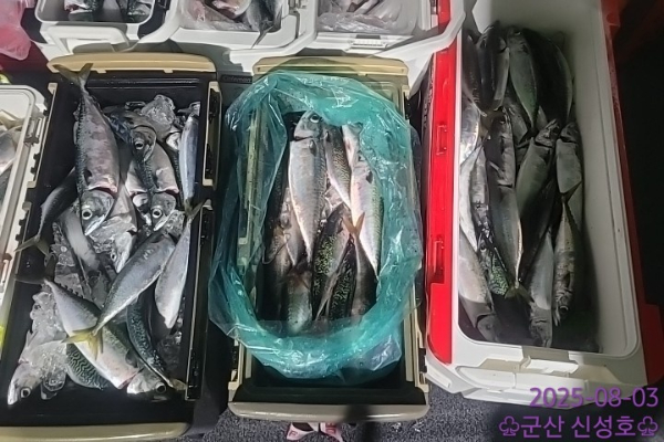 1000010232.jpg