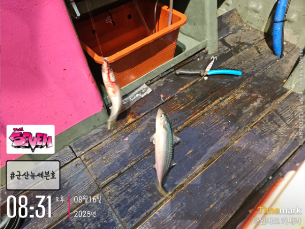 9_hffUd018svc1l11u09cq0y4b_82sd02.jpg