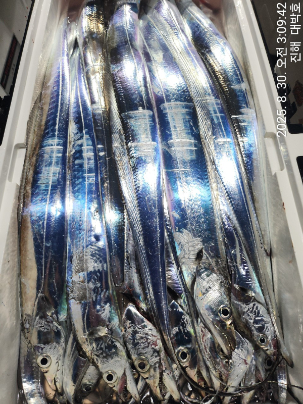 KakaoTalk_20250830_080944142_09.jpg