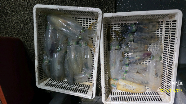 DateCamera0809034838.jpg