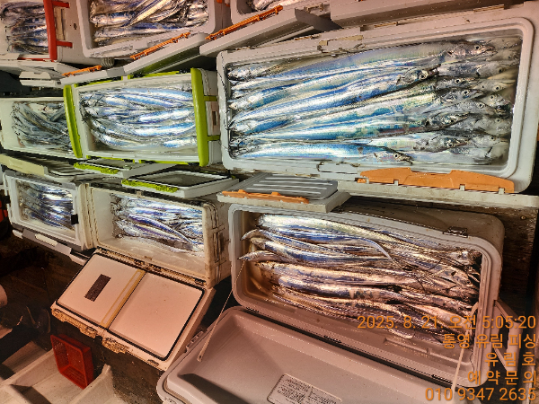 e16b370577f6dcae0d8bbb54eea886f6.jpg