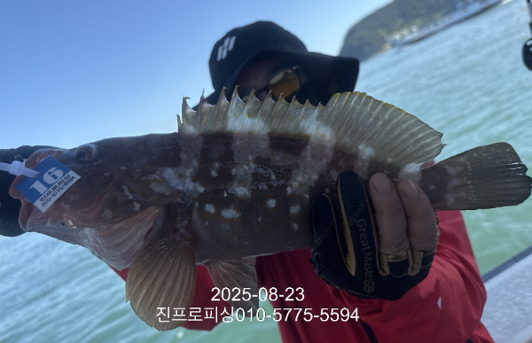 1756033082158.jpg