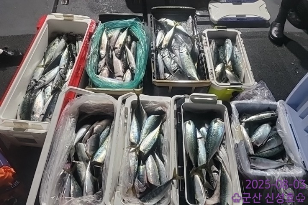 1000010235.jpg