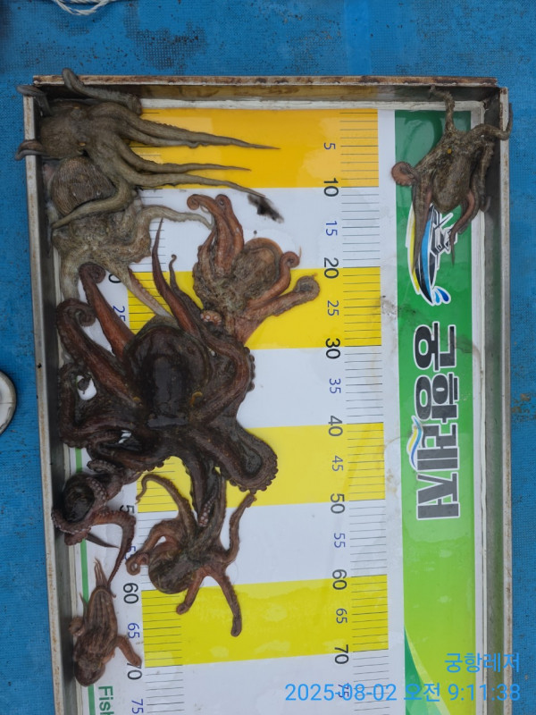 궁항레저_사진_20250802_2.jpg