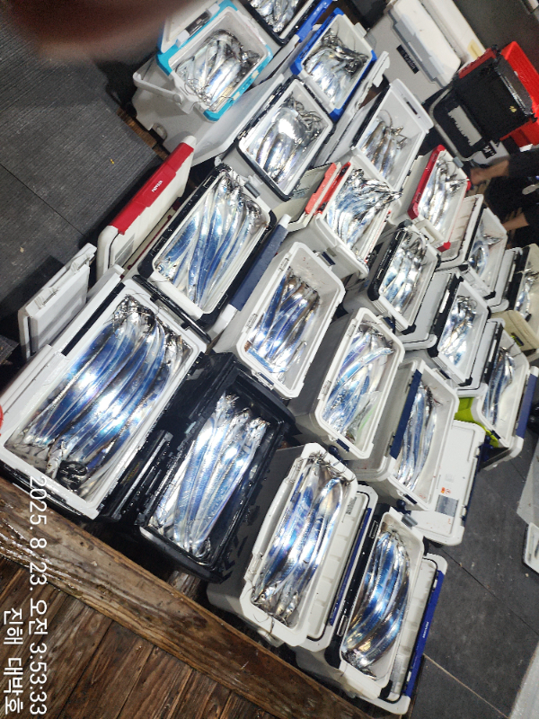 KakaoTalk_20250823_192442687_12.jpg