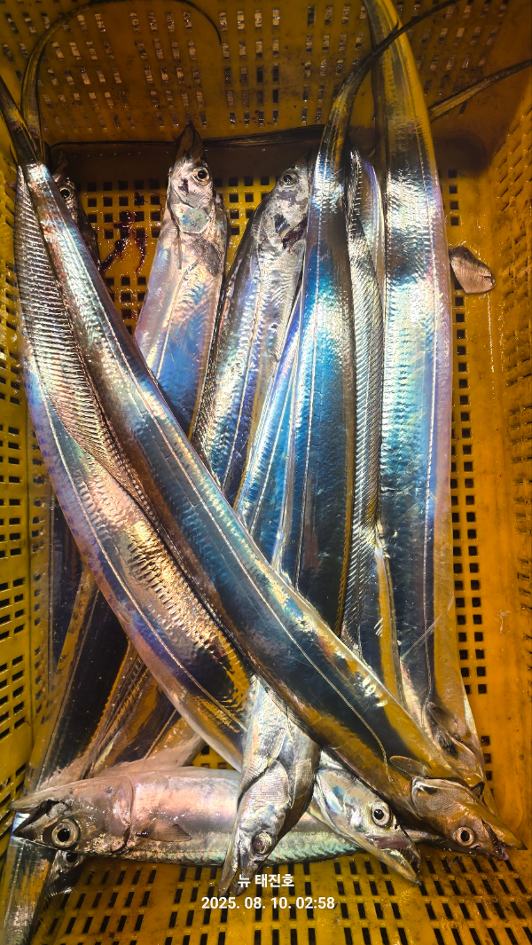 e2fb7e658055fd881d56eaf044e7f694.jpg
