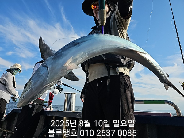 20250810_171646.jpg