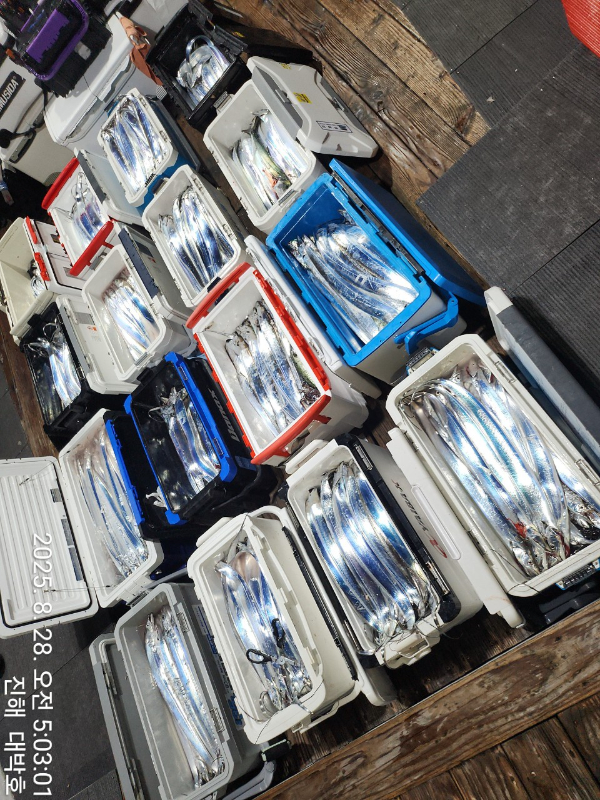KakaoTalk_20250828_084528838_04.jpg