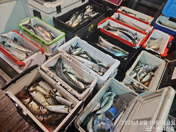 KakaoTalk_20250819_033236295_01.jpg