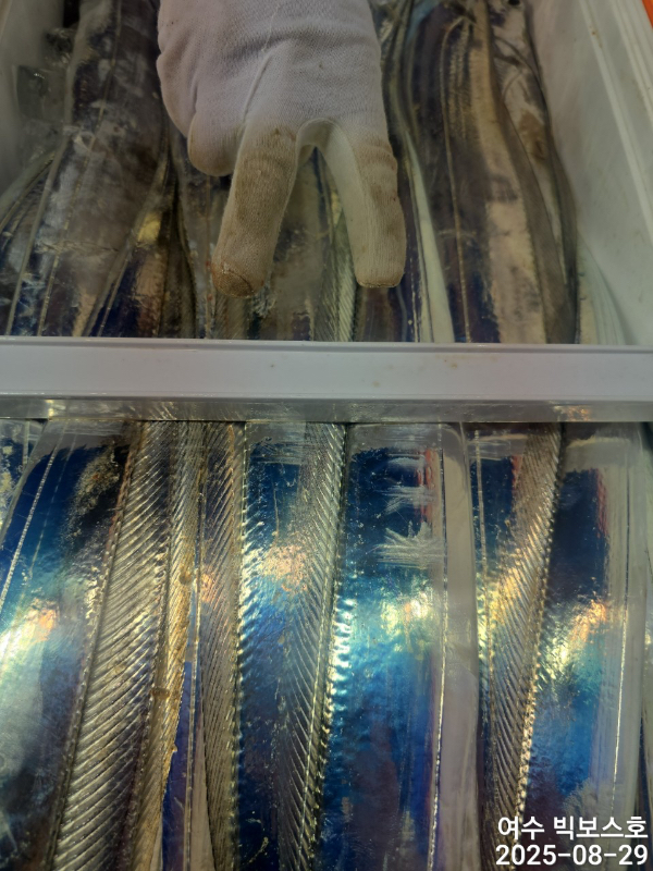 0301C6C1-61B0-419C-8C5D-ED221FDE902F.jpeg