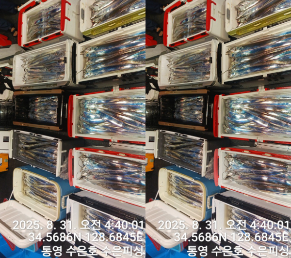 1756587934241-tile.jpg