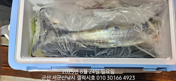 KakaoTalk_20250824_085534093_16.jpg