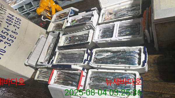 e456b5fd6bdb489ee7fa9146d3a9909d.jpg