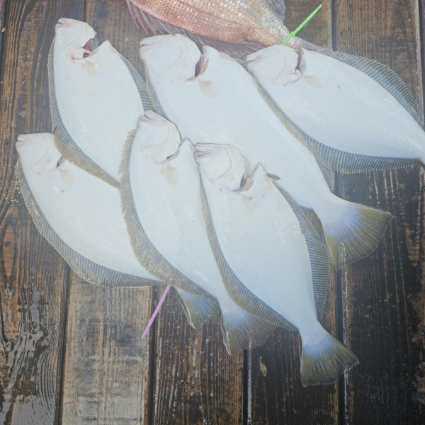 마검포 대한호(VIP)_사진_20250816_10.jpg