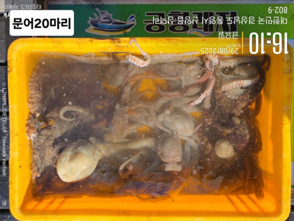 궁항레저_사진_20250829_1.jpg