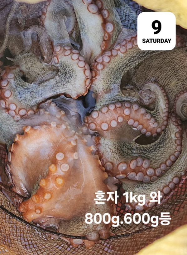 e4eeba6c420e46895a66b222fa338c73.jpg