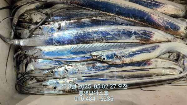 e4f26d2920288ae50ca870f4c7f0461b.jpg