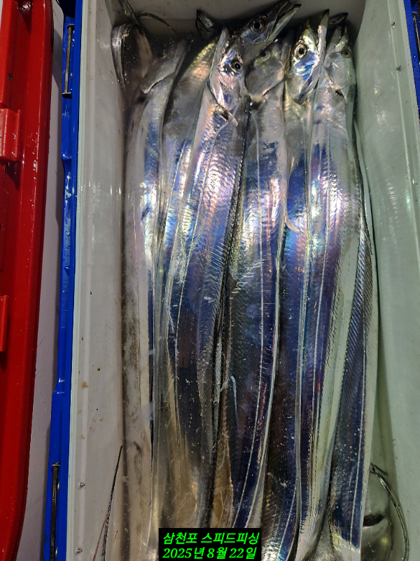 1000064188.jpg