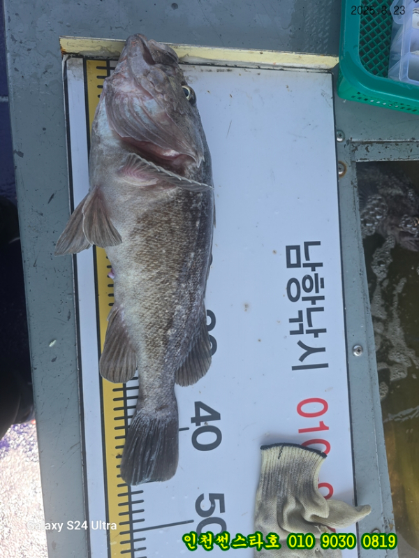 18.jpg