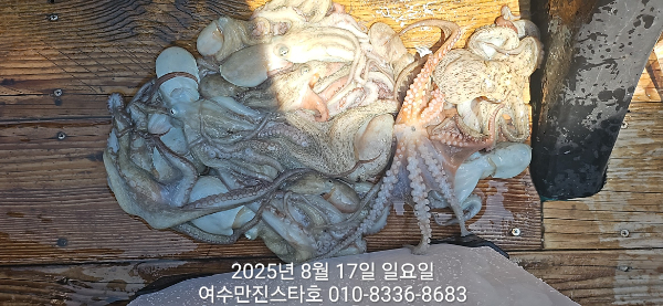 e60d957429a9e2ef66a7cf2923180aed.jpg