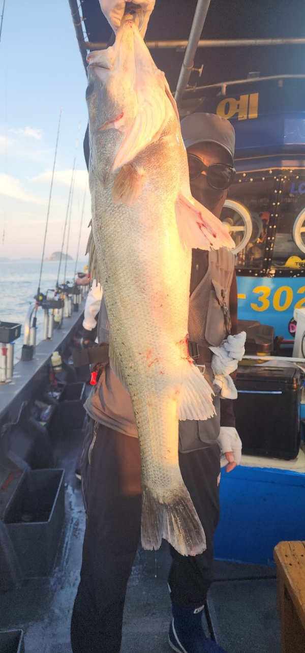 예지퀸호 농어외수질&어초낚시 경기인천권_사진_20250808_1.jpg