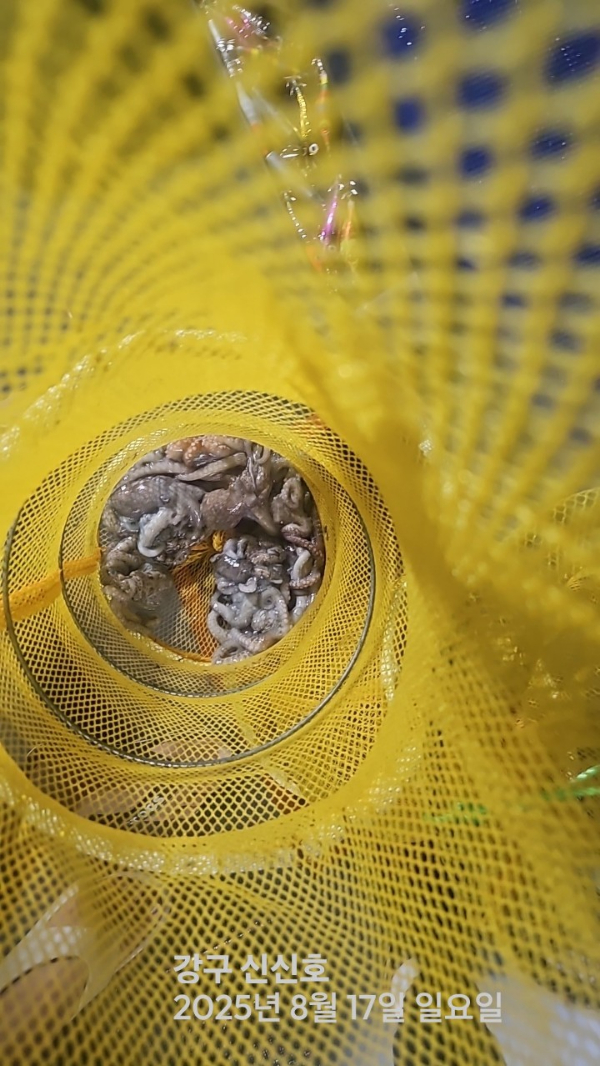 신신낚시 강구점 신신호_사진_20250817_8.jpg