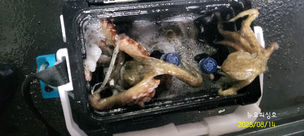 DateCamera0814051331.jpg