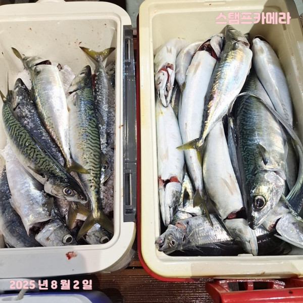 KakaoTalk_20250802_135732285_04.jpg