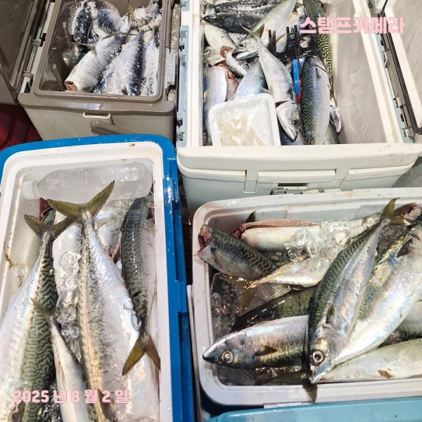 KakaoTalk_20250802_135732285_01.jpg