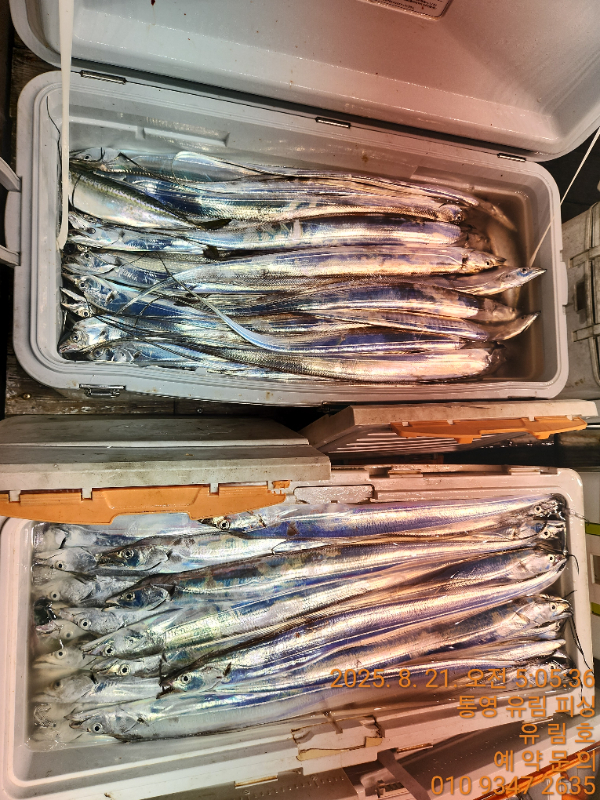 e7ec3d6717853378da12561add02e57d.jpg