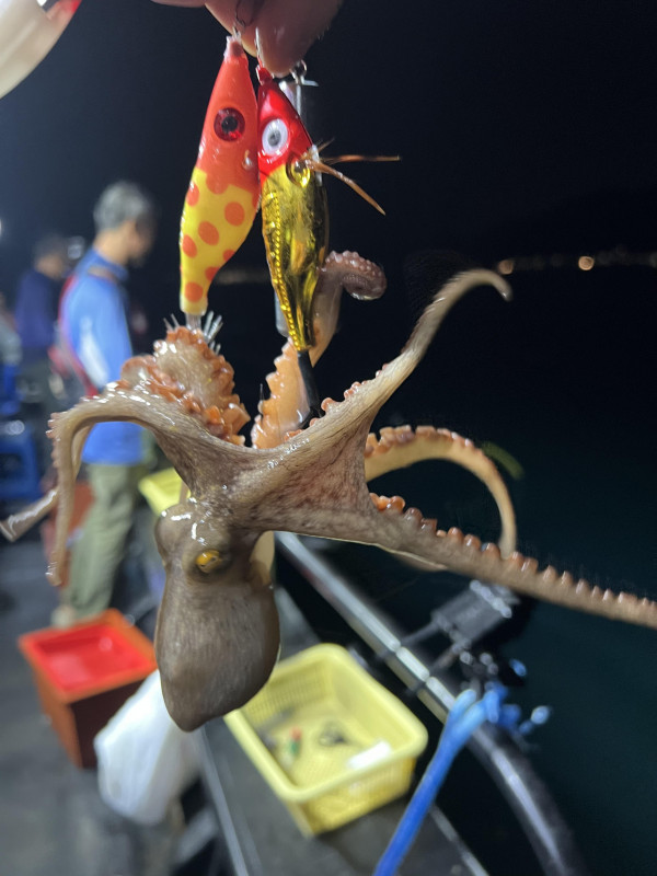 KakaoTalk_Photo_2025-08-31-19-11-31 008.jpeg