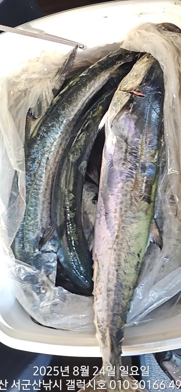 KakaoTalk_20250824_085534093_03.jpg