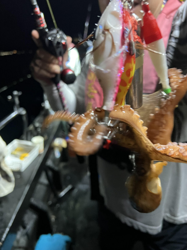 KakaoTalk_Photo_2025-08-31-19-11-32 013.jpeg