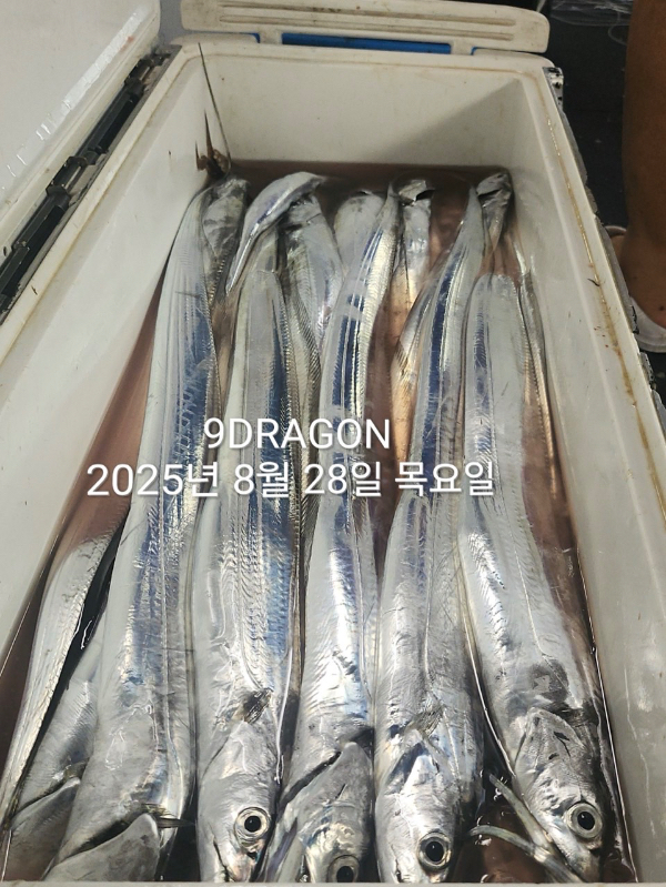 6DABC373-5AE8-4D40-AED5-D3FFE4CDB92A.jpeg