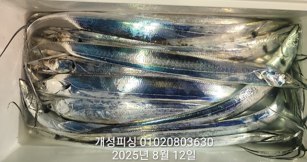ea2b7699e1bc24a8e0d43ddd5f59251f.jpg