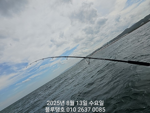 20250813_143916.jpg