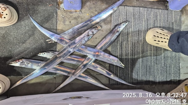 1755344970858-7.jpg