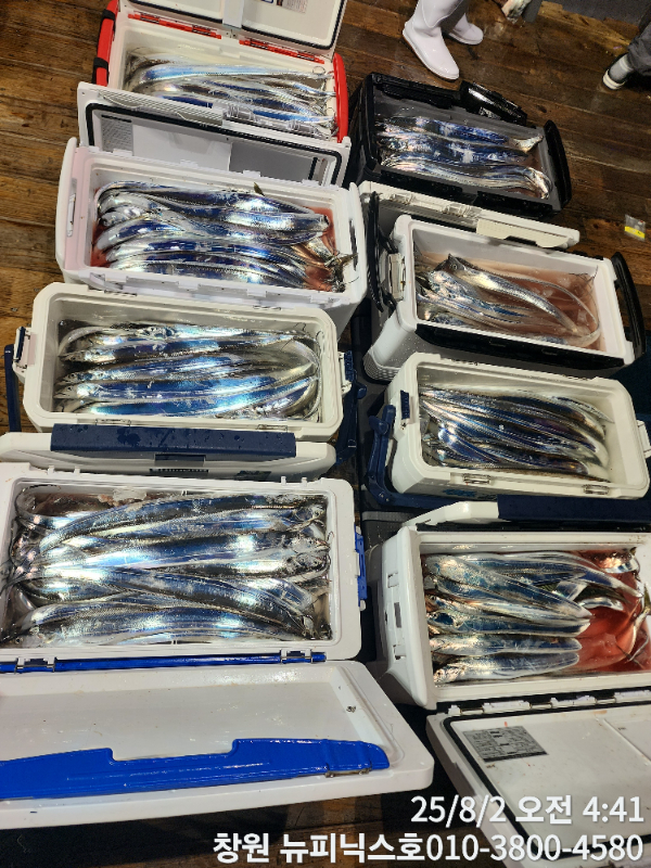 1000048741.jpg