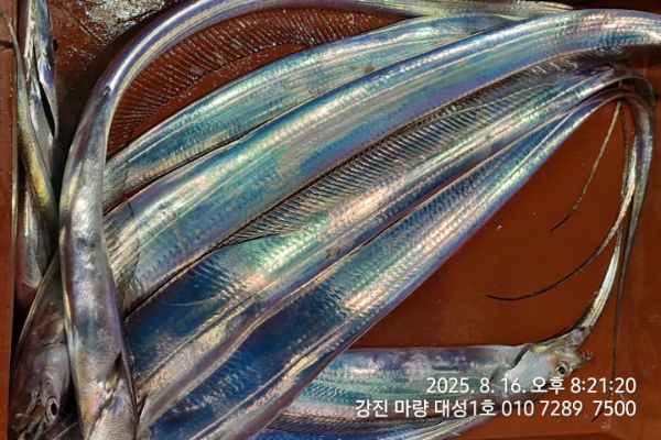 eadbc9fffff052e4683711274c6b40a3.jpg
