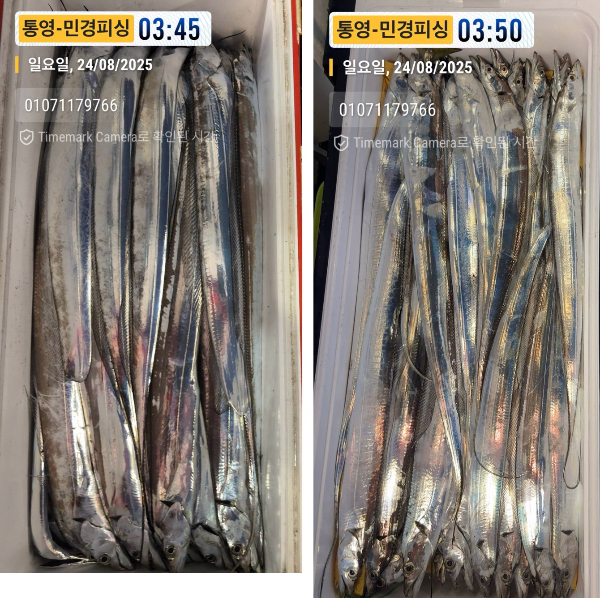 이미지.jpeg