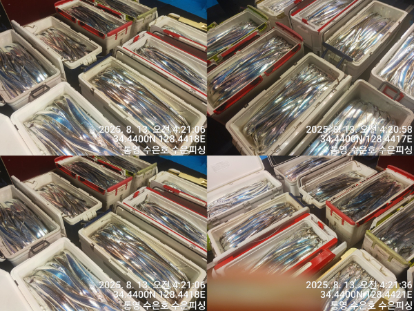 1755027075378-tile.jpg