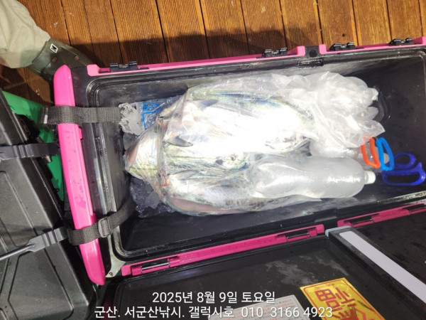 군산 선상낚시, 바다낚시 출조 전문 ☆서군산낚시☆_사진_20250809_13.jpg