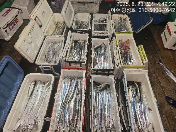KakaoTalk_20250823_172651676_06.jpg