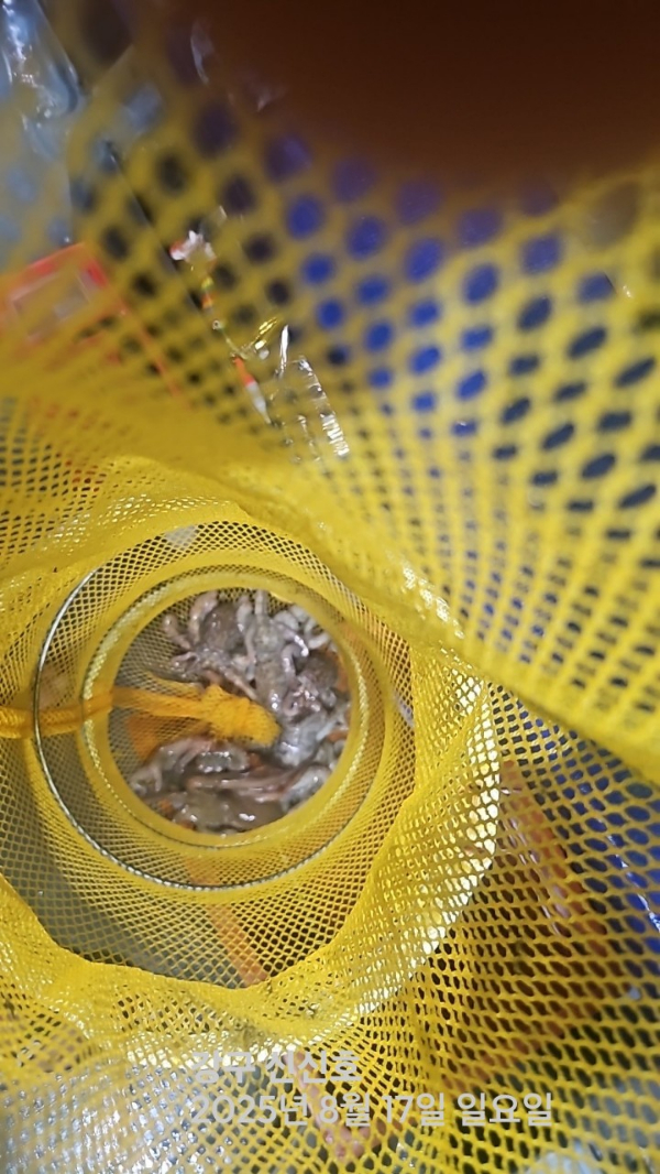 신신낚시 강구점 신신호_사진_20250817_13.jpg