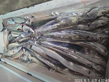 Screenshot 2025-08-02 at 09.31.11.JPG