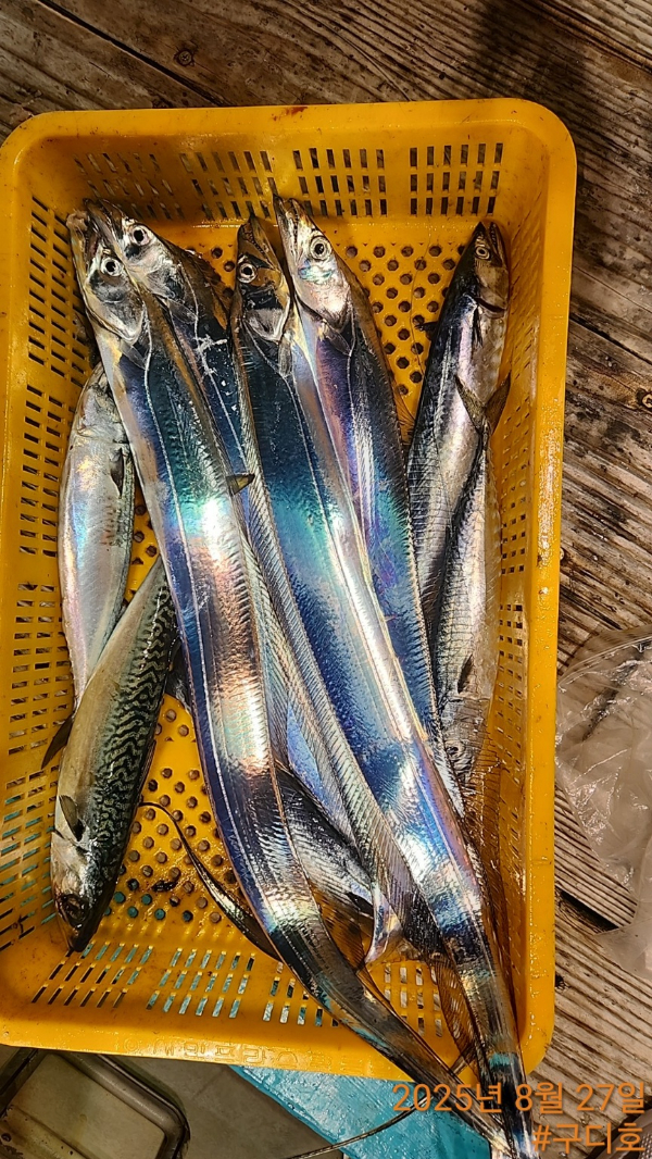 1000009777.jpg