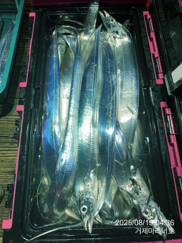 BandPhoto_2025_08_19_06_27_38_29.jpg