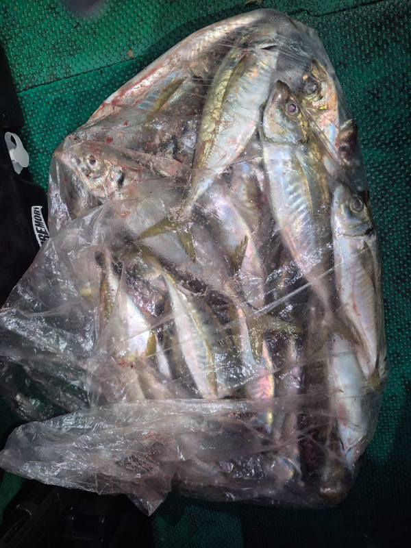 KakaoTalk_20250830_060011662_14.jpg